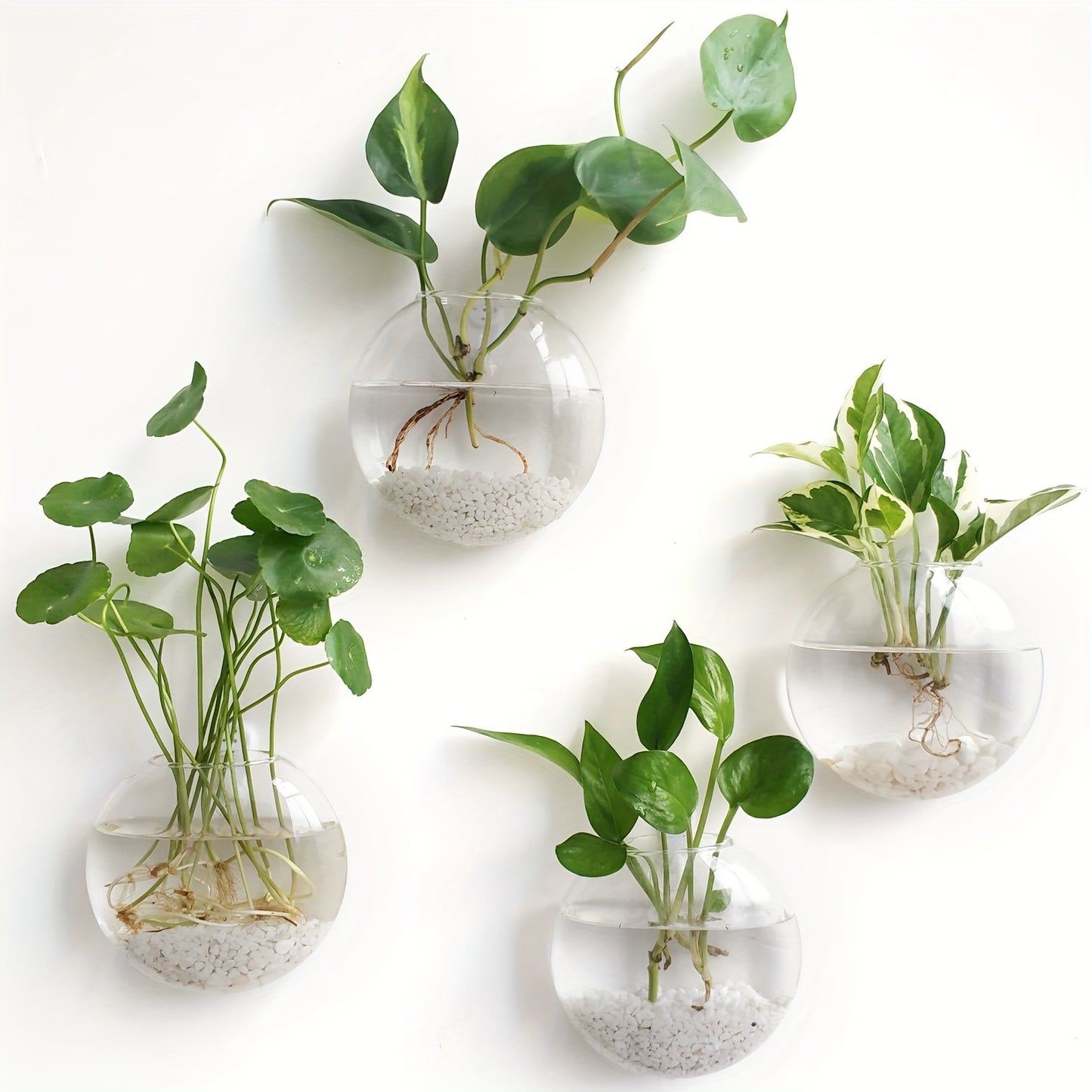 Wall Hanging Glass Terrariums Planter Oblate