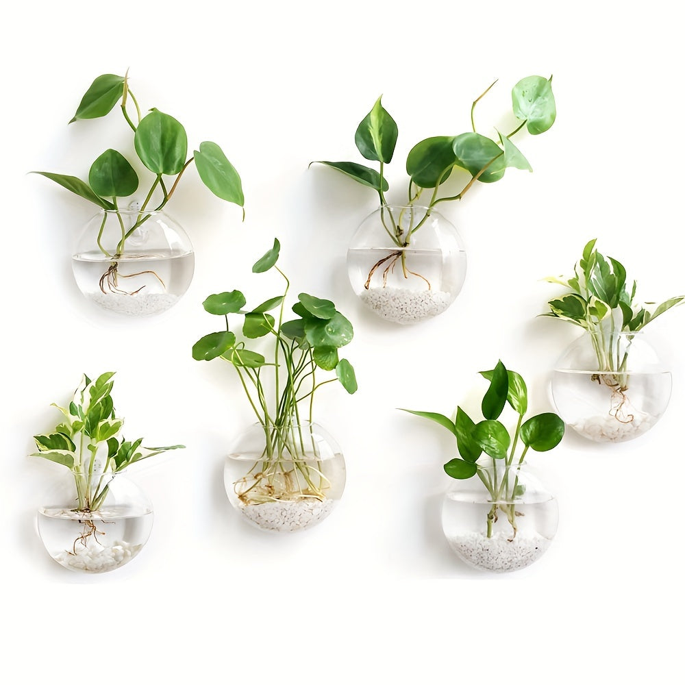 Wall Hanging Glass Terrariums Planter Oblate