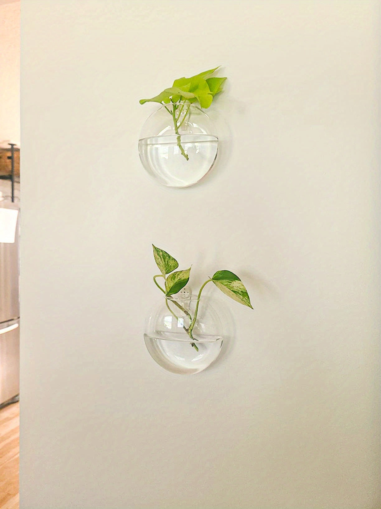 Wall Hanging Glass Terrariums Planter Oblate