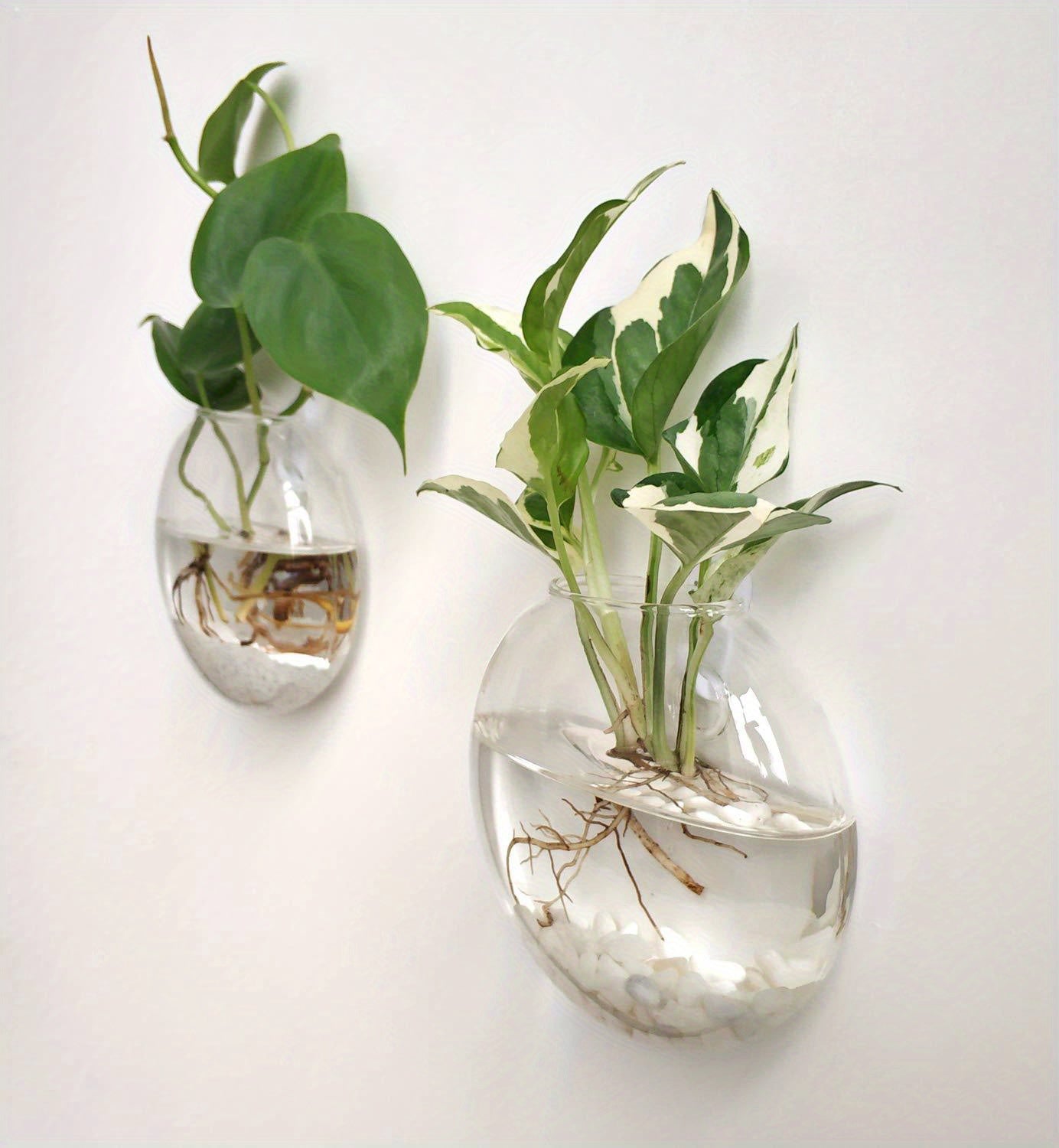 Wall Hanging Glass Terrariums Planter Oblate