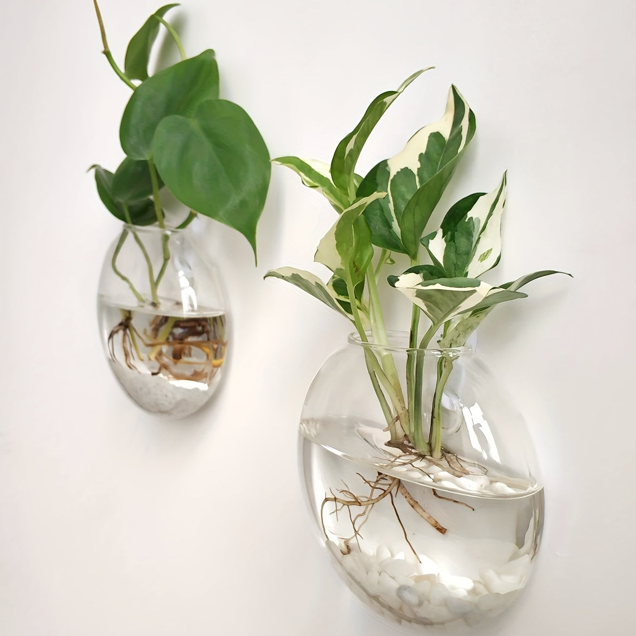 Wall Hanging Glass Terrariums Planter Oblate