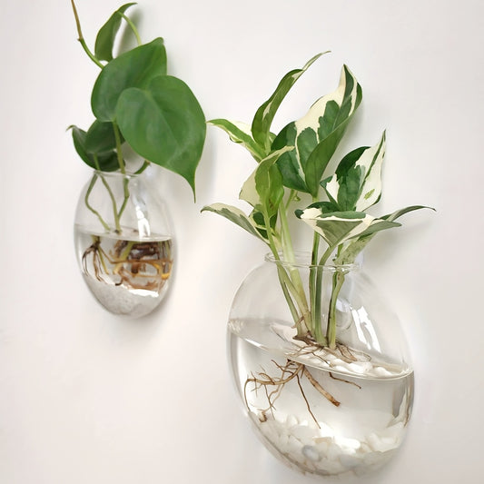 Wall Hanging Glass Terrariums Planter Oblate