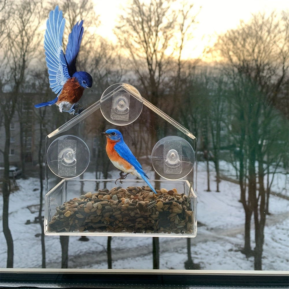 Crystal  Pill View Window Bird Feeder