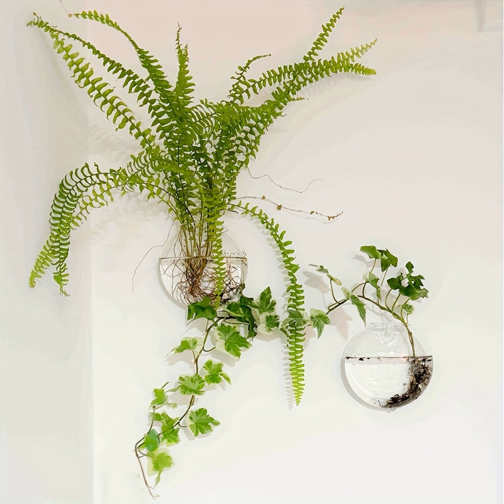 Wall Hanging Glass Terrariums Planter Oblate